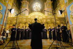 IMG_20251109_203120_729