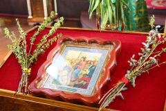 IMG_4373-CROP-KotliarRn