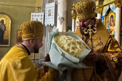 IMG_20251113_230454_985