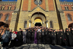 IMG_20251113_230455_339