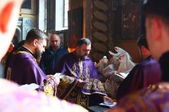 IMG_3785-CROP-KotliarRn