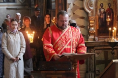 282743723_389195119802050_1728472051096170511_n