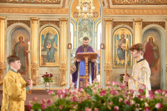 DSC_0031-CROP-KotliarRn