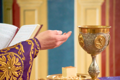 DSC_0073-CROP-KotliarRn