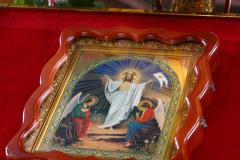 IMG_4138-CROP-KotliarRn