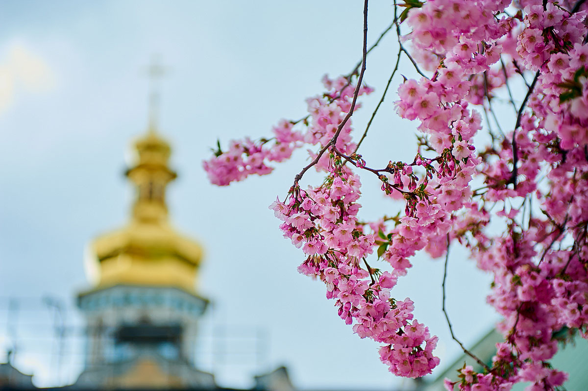 Незвичайна подорож лабіринтами віри та історії: екскурсія для студентів КПБА в Києво-Печерській лаврі